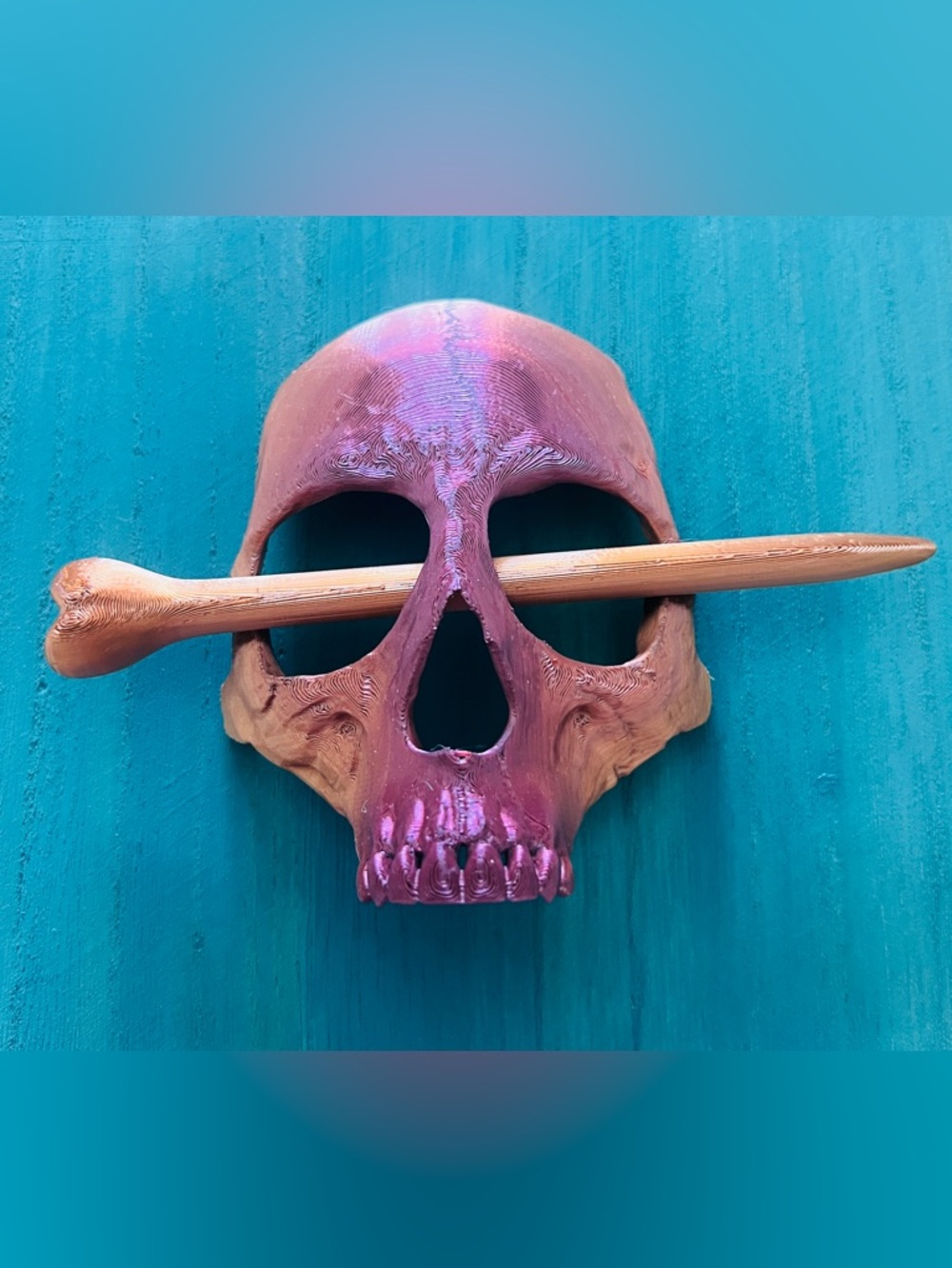 Dual colored Skull Hair Pin